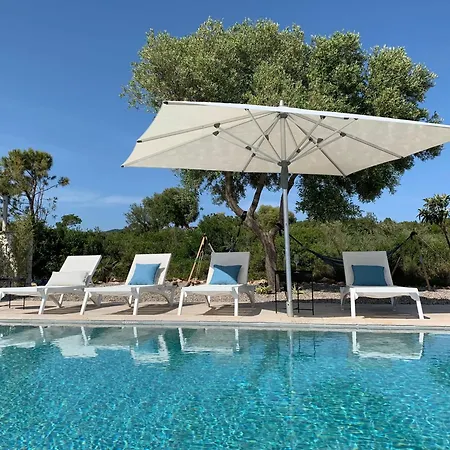 Pinea - Newly Built Modern Few Minutes From The - Луксозна вила Evgiros